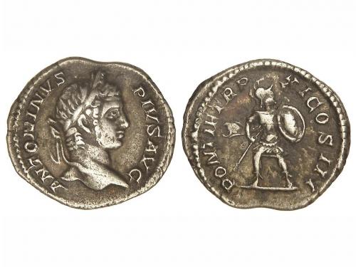 Lote 3047