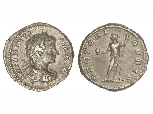 Lote 3051