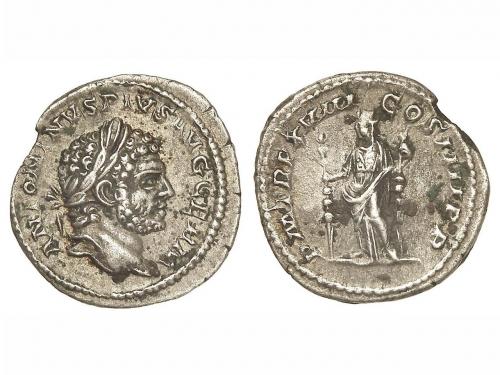 Lote 3042