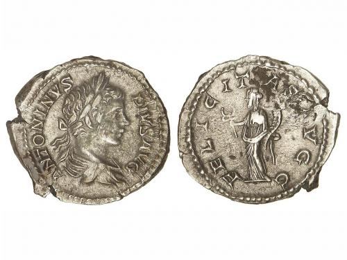 Lot 3031