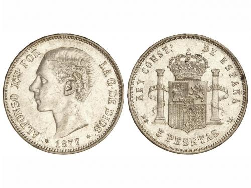 Lote 4221