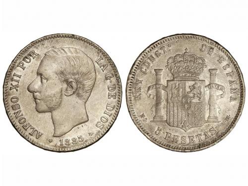 Lot 1135