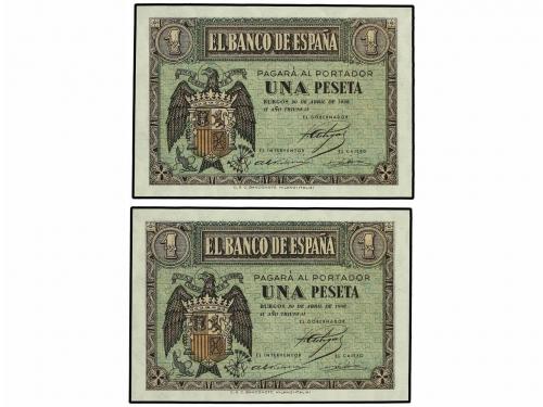 Lote 5978