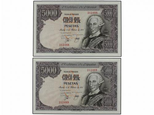 Lot 6166