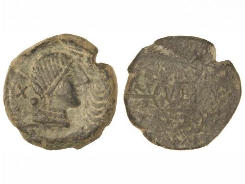 Lot 2558