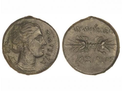 Lot 2040