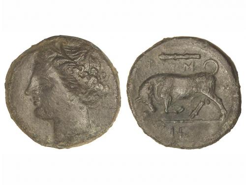 Lot 2047
