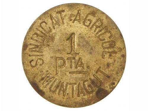 Lot 6900