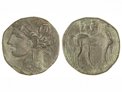 Lot 3104