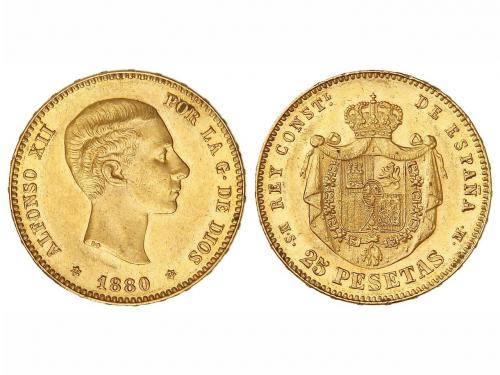 Lote 3876