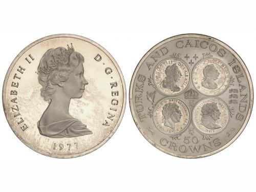 Lot 7135