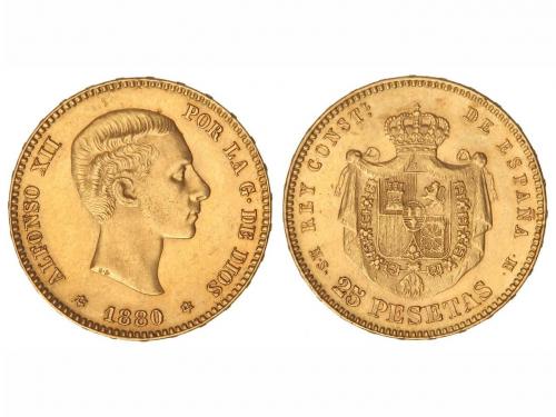 Lot 1038