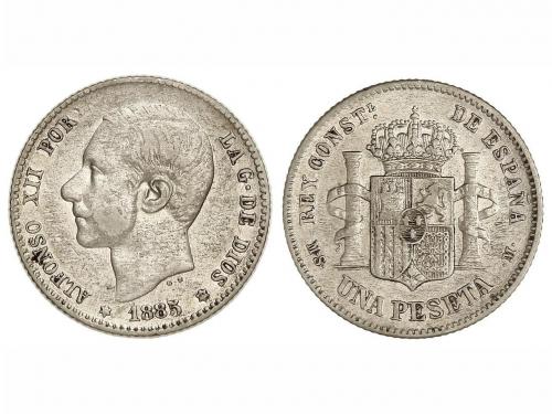 Lote 3013