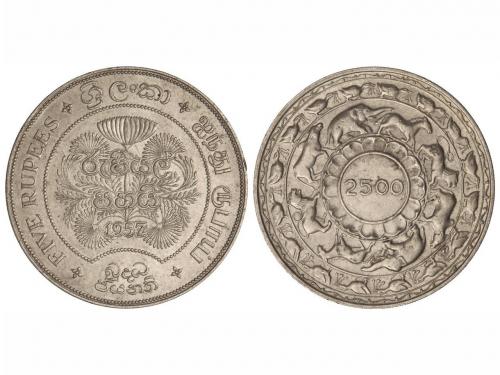 Lote 5944