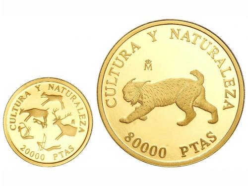 Lot 4564