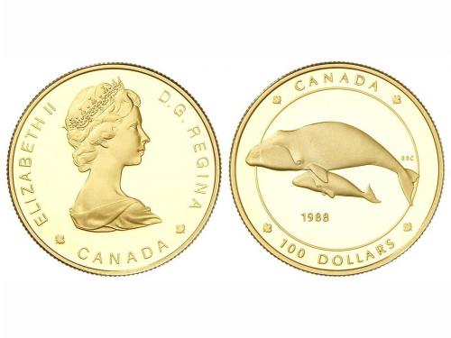 Lot 4920