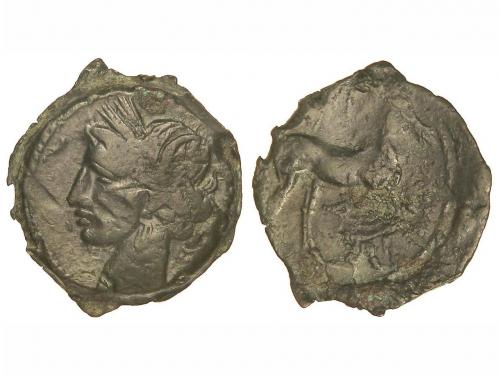 Lot 2036