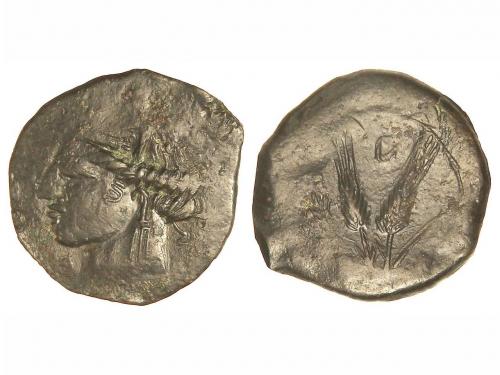 Lot 2037