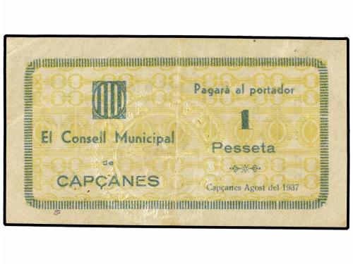 Lote 4805
