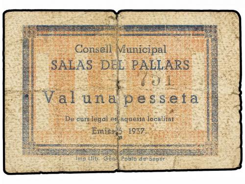 Lote 4923