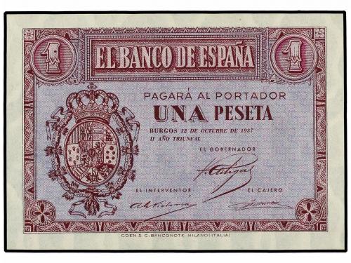 Lote 4571