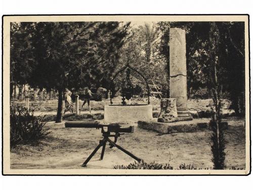 ✉ TRIPOLITANIA. Sa. 17. 1950 (23-IX). MIANI a TRIPOLI. Tarje