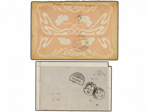 ¿ ARGENTINA. 1889-90. Dos Enteros Postales tasados con sello