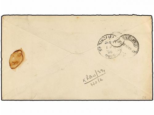 ✉ MEXICO. Sc. 247. 1895. MÉXICO a U.S.A. Sobre ilustrado con