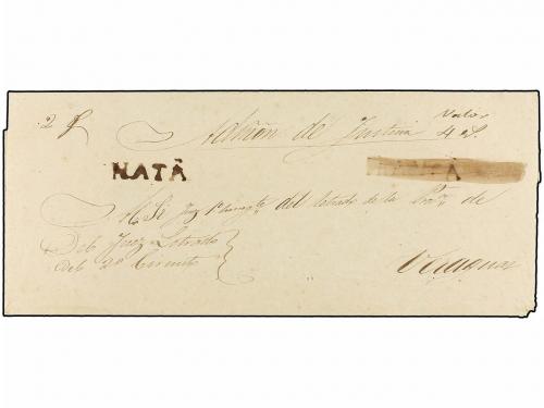 Lot 1697