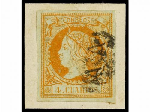Lot 191