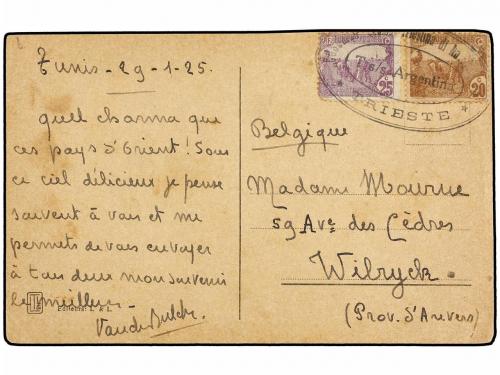 ✉ TUNEZ. 1925. TUNIS a FRANCIA. Tarjeta Postal con franqueo 