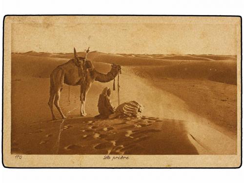 ✉ TUNEZ. 1925. TUNIS a FRANCIA. Tarjeta Postal con franqueo 