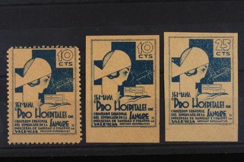 Lot 502