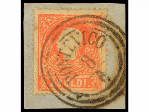 Lot 1010