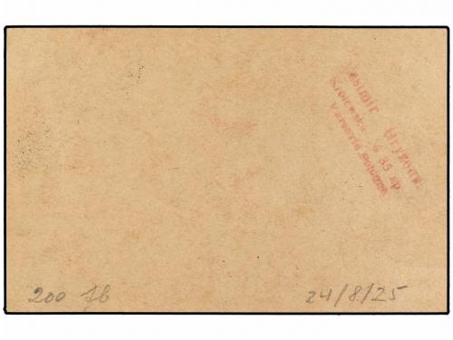 ✉ POLONIA. 1925 (24-VIII). WARSAWA to DANZIG. 10 gr. Postal 