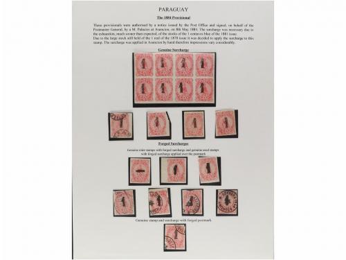 ✉ PARAGUAY. 1879-87. COLECCIÓN montada en hojas de álbum con