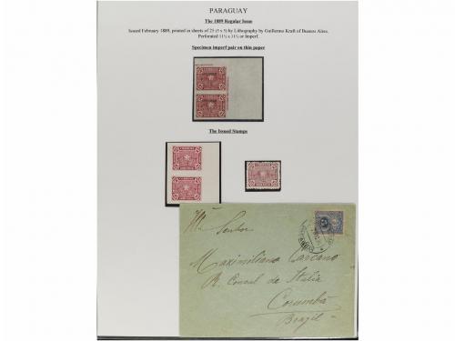 ✉ PARAGUAY. 1879-87. COLECCIÓN montada en hojas de álbum con