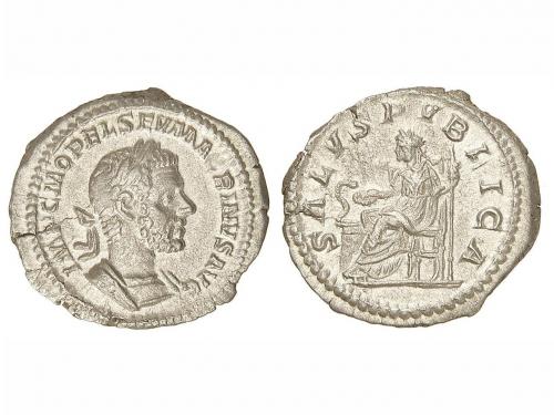 Lot 254
