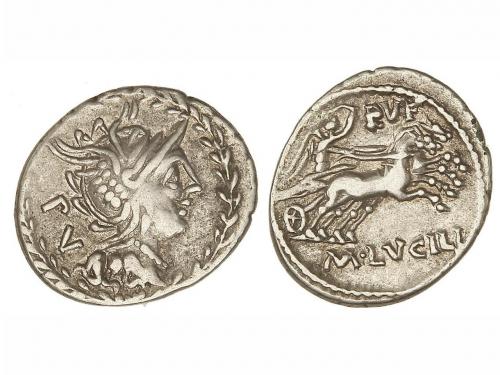 Lot 2639