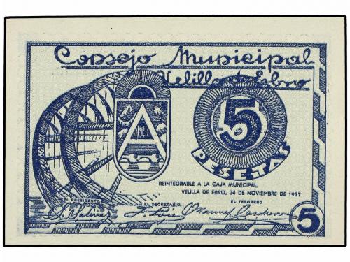 Lote 4981