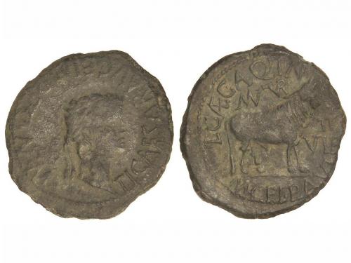 Lot 2546