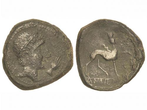 Lote 2241