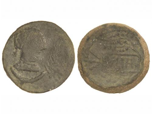Lot 2554