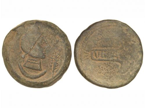 Lot 2557