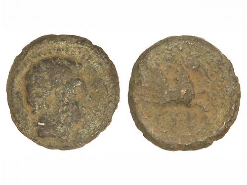 Lot 2526