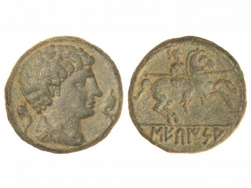 Lot 2137