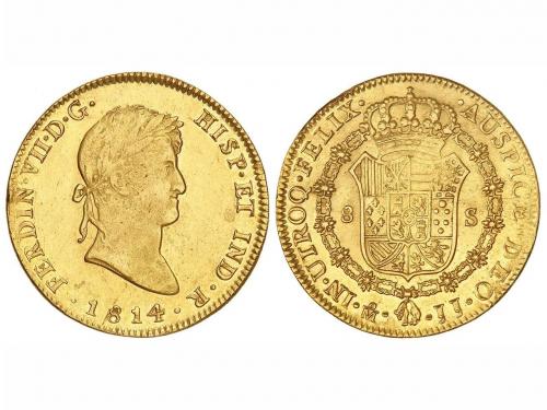 Lot 1041
