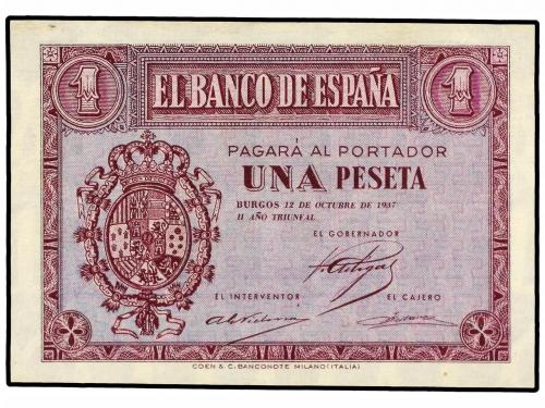 Lote 5495