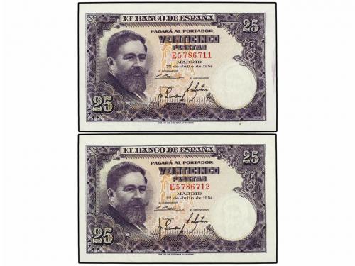 Lote 5558
