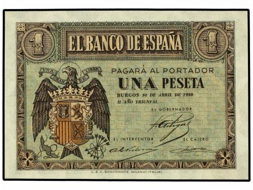 Lote 5501
